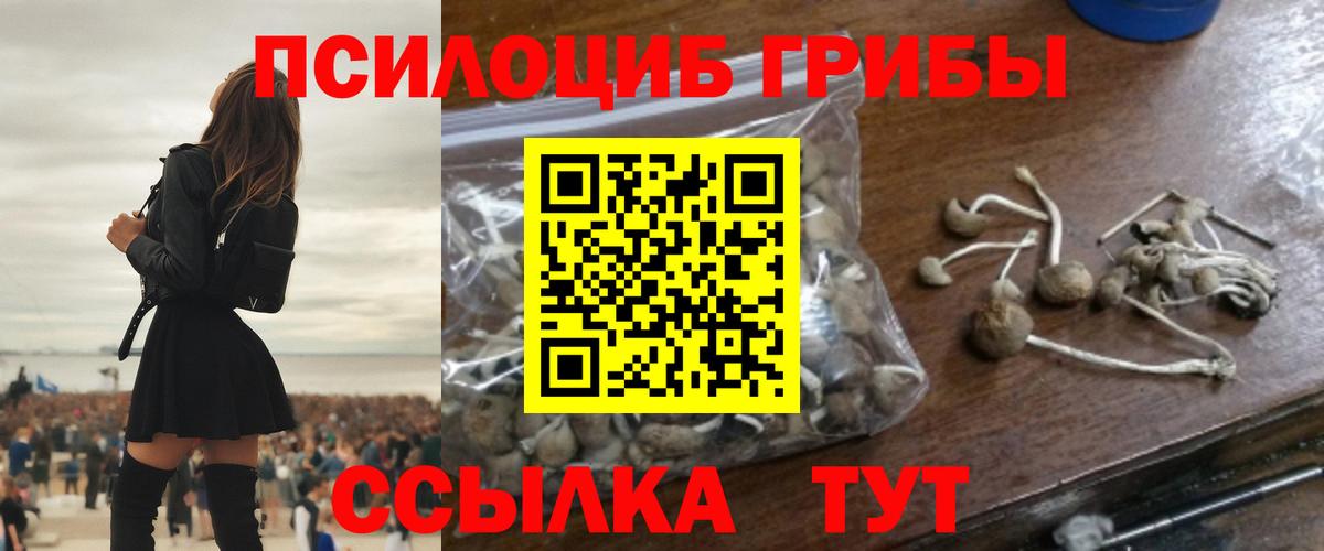 Псилоцибиновые грибы мухоморы Асино