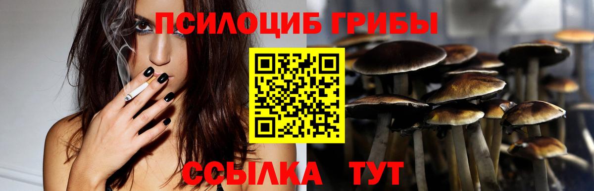Псилоцибиновые грибы мухоморы  Вход с VPN  Асино 